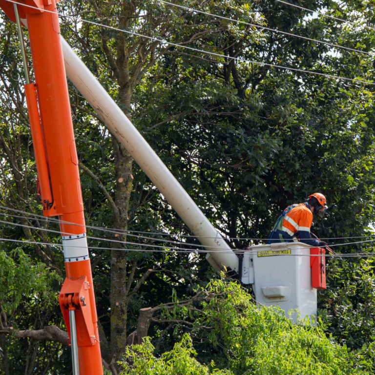 Overhead Powerline Awareness (GS6) | Hercules